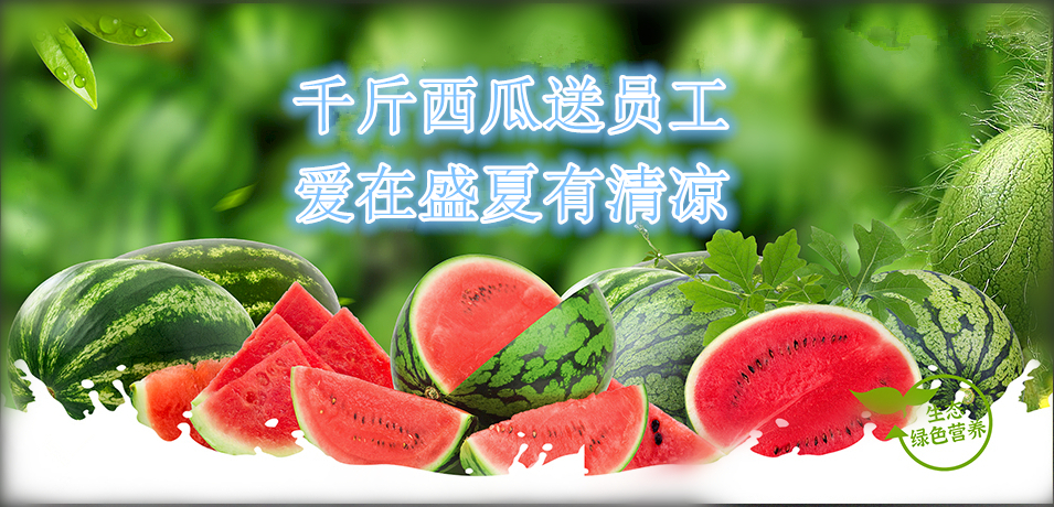 通達軟件公司： 千斤西瓜送員工，愛在盛夏有清涼